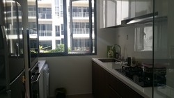 Palm Isles (D17), Condominium #204463871